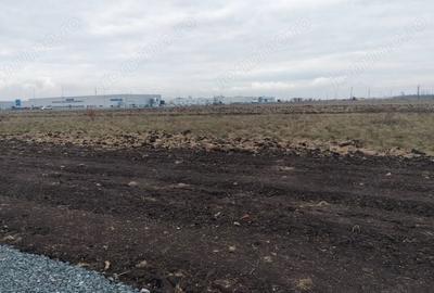 Spațiu comercial, în Ghiroda - 5