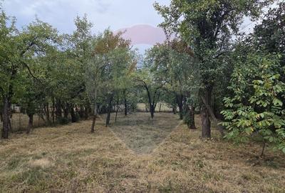 Casa si teren de 1195mp in Tinca - 13