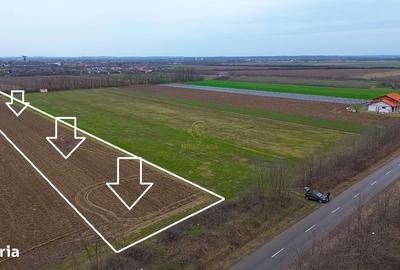 Teren de 4300 mp, în Odoreu - 5