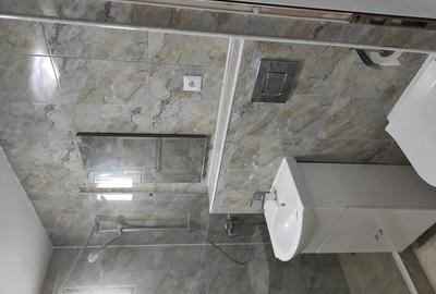 Apartament cu 2 camere semidecomandat în Cetate - 4