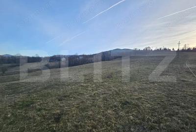 Teren intravilan de 16667 mp, Sosea de Centura, Abrud - 1