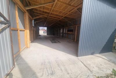 Teren de 957 mp, în Răcăciuni - 5