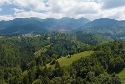 Teren Panoramic in Bran - Vedere spre Bucegi & Piatra Craiului - 6