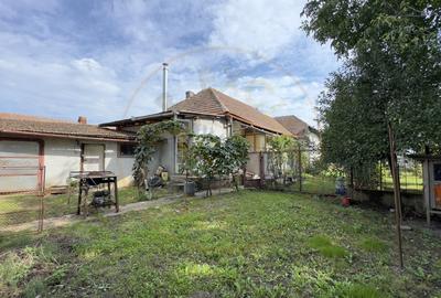 Casa 3 camere, Teren 1875 mp Loc. Tiream Jud. Satu Mare-Comision 0% cumparator - 12