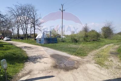 Teren Construcții intravilan de 1992 mp, în Coșoveni - 9