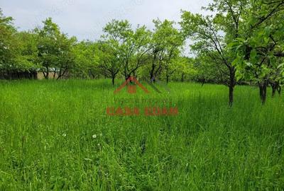 Casă cu Teren 3999 Mp în Scorțeni - 2