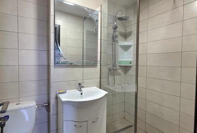 Apartament cu 2 camere decomandat, mobilat în Camil Ressu - 12