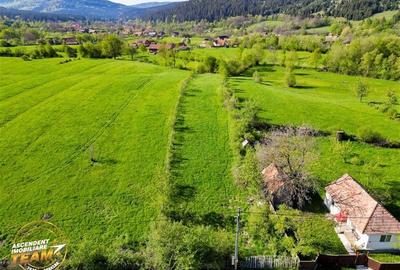 FILM! 2.063 mp de refugiu natural in localitatea Zagon, Covasna - 6