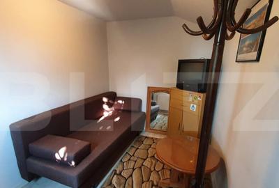 Apartament de 1 camera, decomandat, zona strazii Artelor - 3