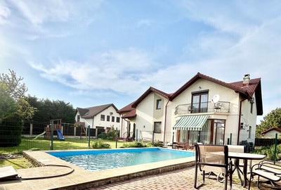 Individual villa with swimming pool Iancu Nicolae - 29