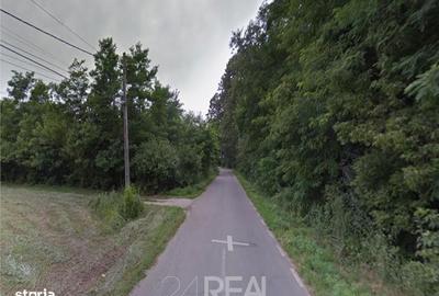 Spațiu comercial, în Snagov - 6