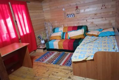 Casă cu 2 camere în Bițina-Pământeni - 7