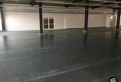 Ocazie!!! Spatiu 1000mp pretabil CLINICA/BIROURI/INDUSTRIAL Ocazie!!! Spatiu 1000mp pretabil CLINICA/BIROURI/INDUSTRIAL - 7