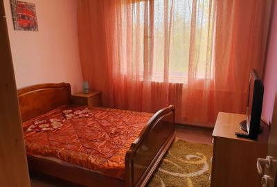 Apartament cu 2 camere semidecomandat în Exterior Vest - 4