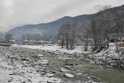 Casă cu 6 camere cu Teren 4600 Mp în Tarcău - 7