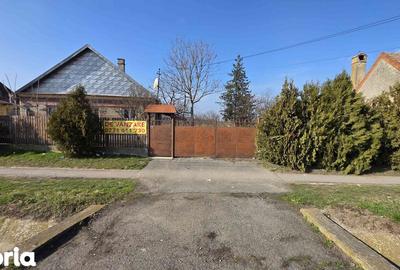 Casă cu 3 camere cu Teren 4041 Mp în Roșiori - 1