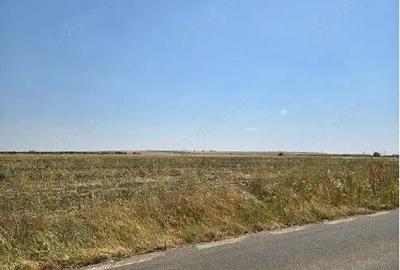 Teren extravilan Smardioasa, cota 1/6, ID: R2688427 - 9