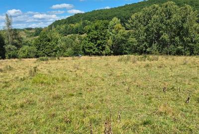 Teren intravilan si extravilan Lisnău Vale-zona pitoreasca - 8