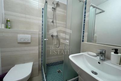 Apartament cu 3 camere semidecomandat, mobilat în DN 1 - 14