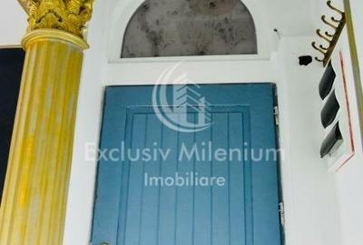 Cismigiu  - Brezoianu Birouri la Vila - 2