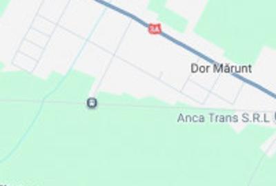 Casă cu 4 camere cu Teren 2550 Mp în Dor Mărunt - 3