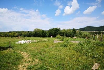 Casă cu 5 camere în Central - 2