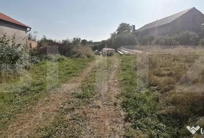 Teren de 3600 mp, în Teiu - 1