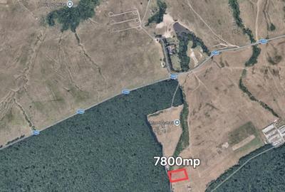 Teren de 7800 mp, în Poplaca
