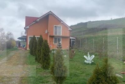 Casa la cheie, teren 2800 mp, Jucu de Sus - 3