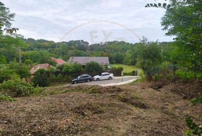 Teren de 2552 mp, în Moșoaia - 1