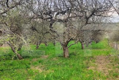 Teren în Voinești - 1