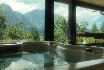 CHALET & SPA MAESTRUL SI MARGARETA /MARGARETA APARTMENT RENT/1300 EURO by WEEK - 3