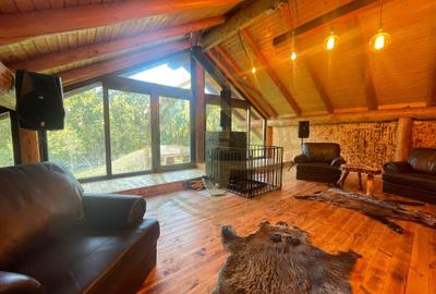 Casă cu 9 camere cu Piscina în Grădiștea - 10