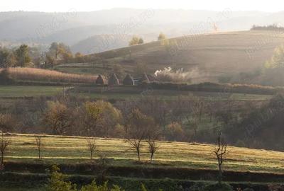 Investi?ie in natura > 2 case restaurate cu poten?ial de inchiriere si teren de 20.000 mp - 9