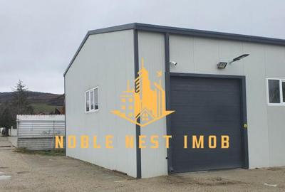 Inchiriere hala industriala 400 mp Caline?ti, Arge? - 1