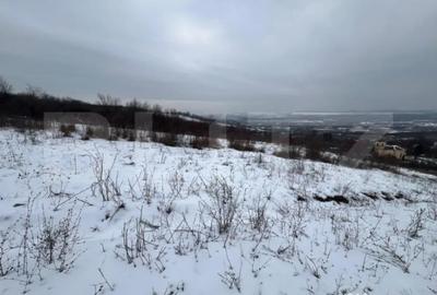 Teren în Vlădiceni - 1