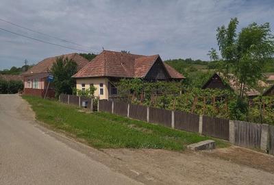 Casă cu 3 camere cu Teren 2900 Mp în Moișa - 1
