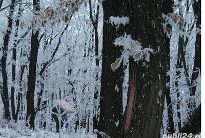 Teren de 16950 mp, în Blaj - 1