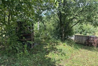 Casă cu 2 camere în Central