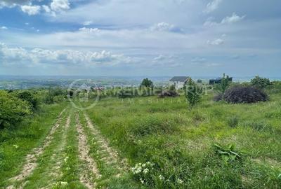 Teren agricol extravilan de 952 mp, în Bucium - 2