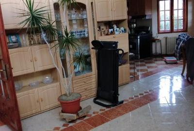 Casă cu 7 camere cu Teren 5000 Mp în Provița de Jos - 6