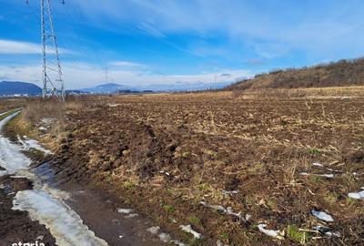 Teren de 3500 mp, în Movilei - 7