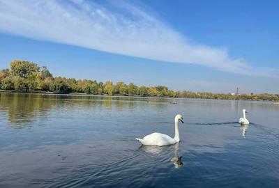LACUL TEI X D-NA GHICA, PALAT, PE MARGINEA PARCULUI PLUMBUITA, - 2