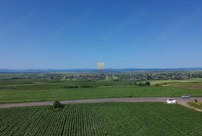 Teren Intravilan 36977 mp E 85 Intrare in Municipiul Suceava! De Vanzare! 0727817187 - 11