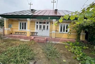 Casă cu 3 camere cu Teren 1681 Mp în Răchitosu - 6