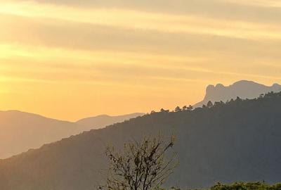 Casă cu 3 camere în Turturești - 8