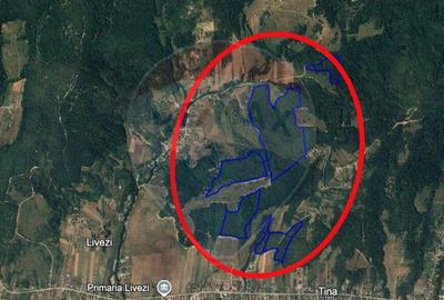 Fost Conac cu padure si teren 54h - 16