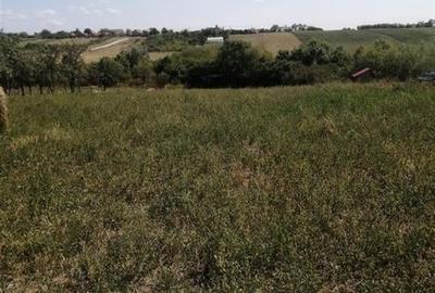 RECO, Teren intravilan, loc de casa in Pausa, Nojorid - 2