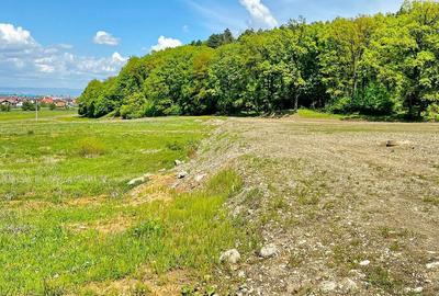 Teren intravilan - 5