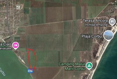 Teren de 5000 mp, în Corbu - 3